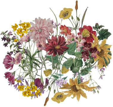 flowerz