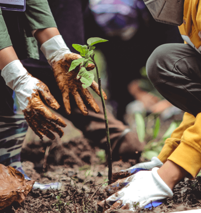 Sustainability with Prioont
