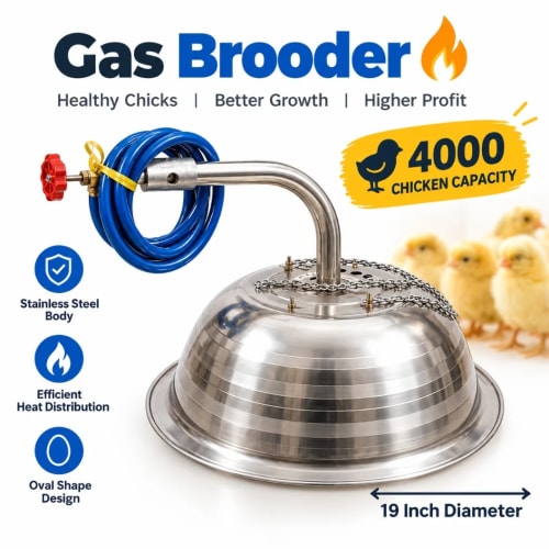 Poultry Gas Brooder 4000 Chicken Capacity 19 Inch Diameter Stainless Steel Oval Shaped | Gas Brooder For Poultry Farm | High-Capacity Gas Brooder - image 1