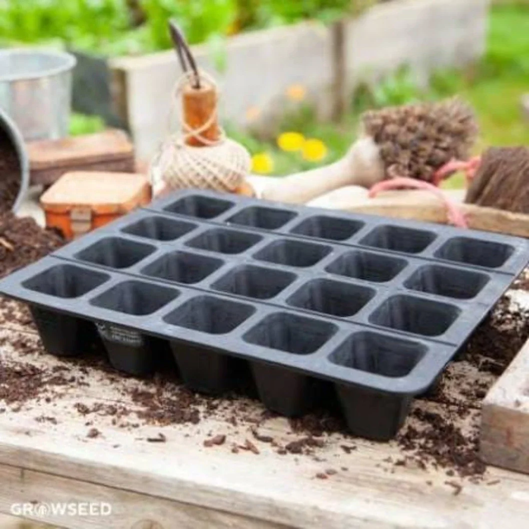 Premium 21 TO 32-Hole Seed Tray for Efficient Gardening - image 2