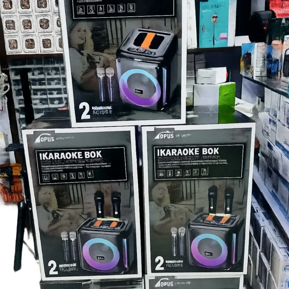DPUS iKaraoke Box DP-1741PLUS – Portable Bluetooth Speaker with Dual Microphones & LED Lights - image 2