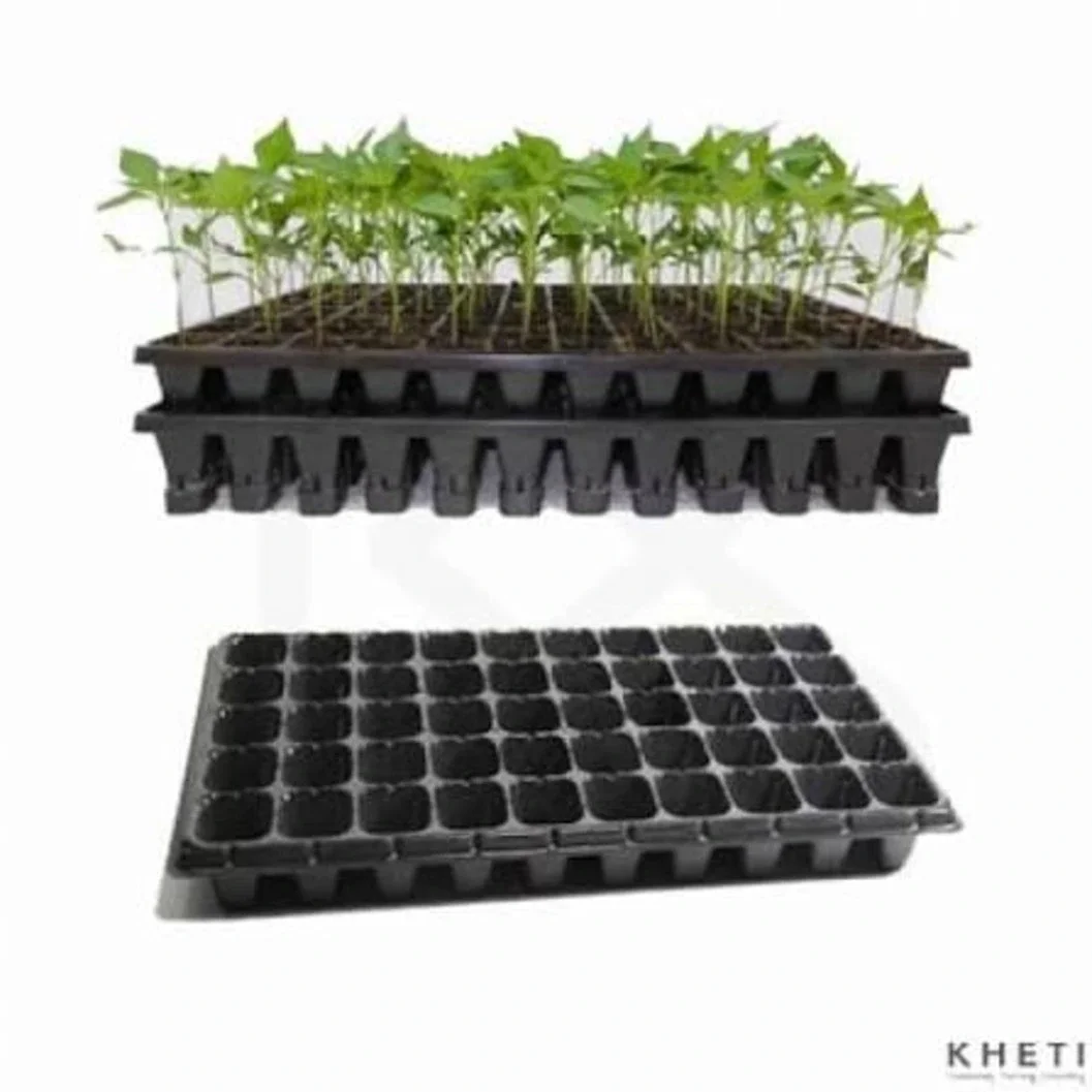 Premium Multi-Cell Seedling Tray for Efficient Gardening (50,72 & 105 Hole) - image 2