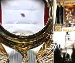 Eucharistic Miracle of Sokółka