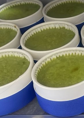 Moss Matcha