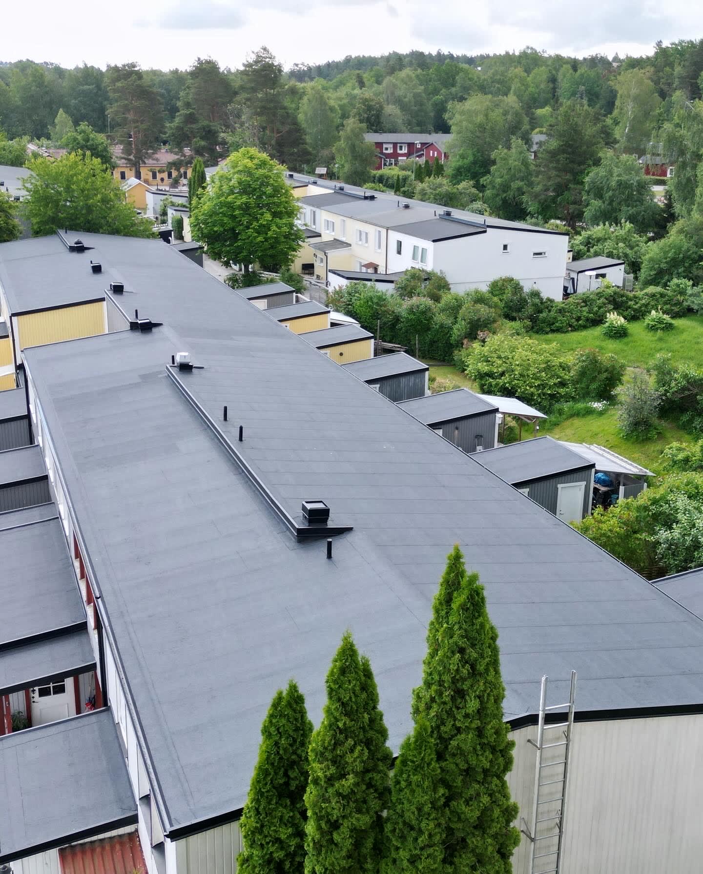 radhus, tak, skorstenar, träd, skog, trädgård, stege, himmel, moln