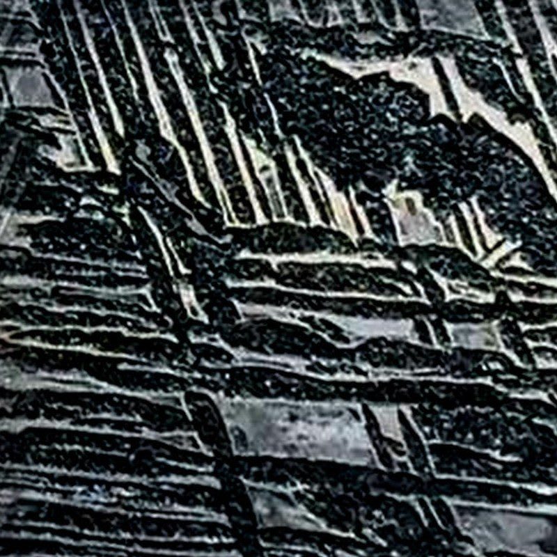 Aletai iron meteorite, black etched, macro
