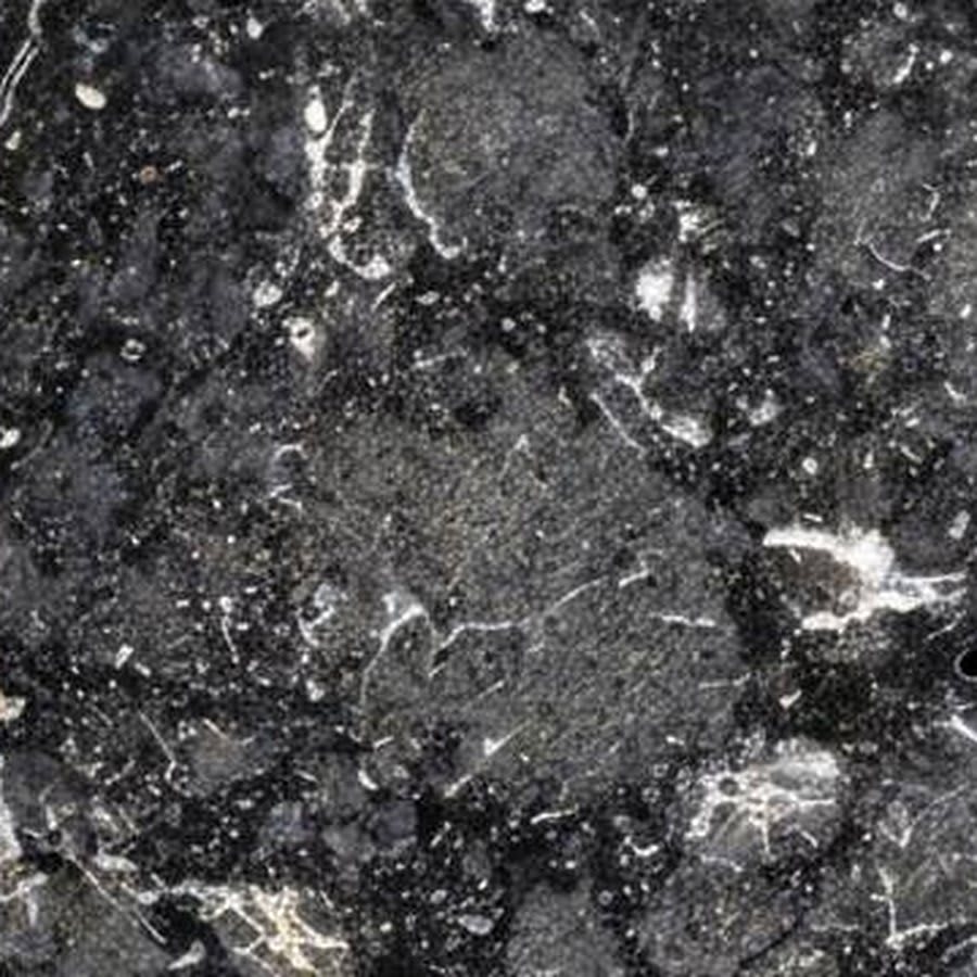 Lunar meteorite NEA 138, macro