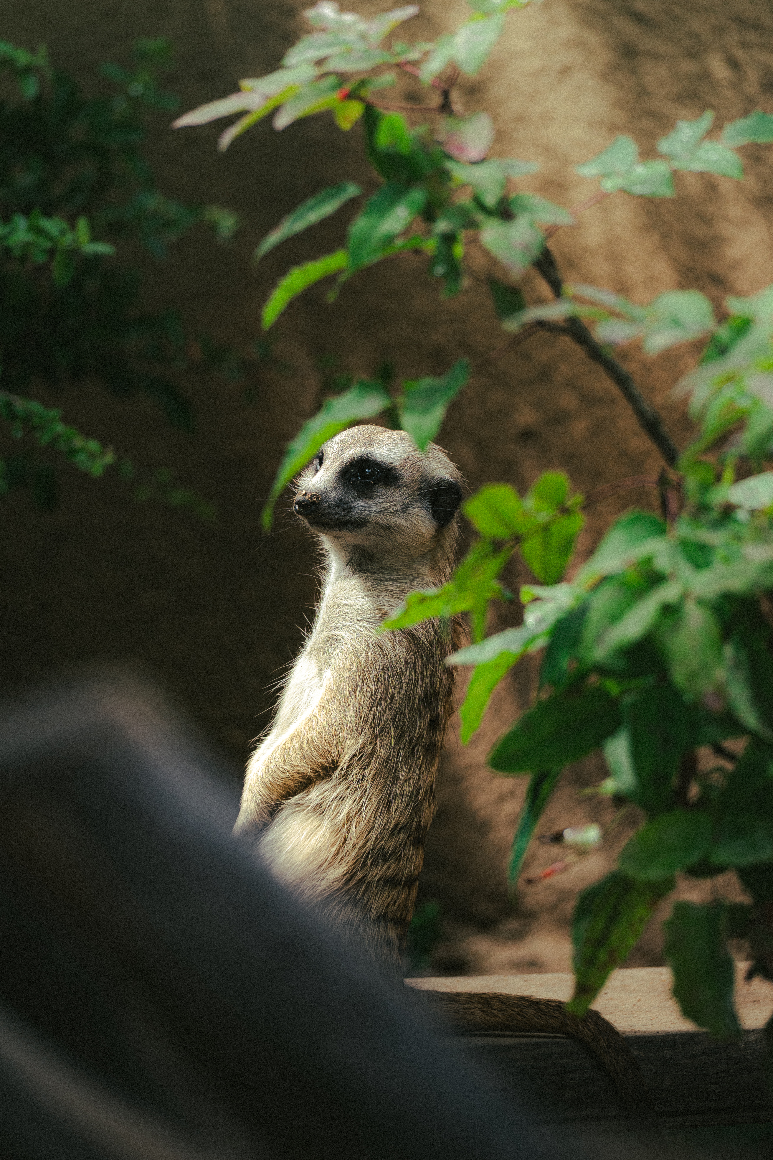 Ústecká zoo