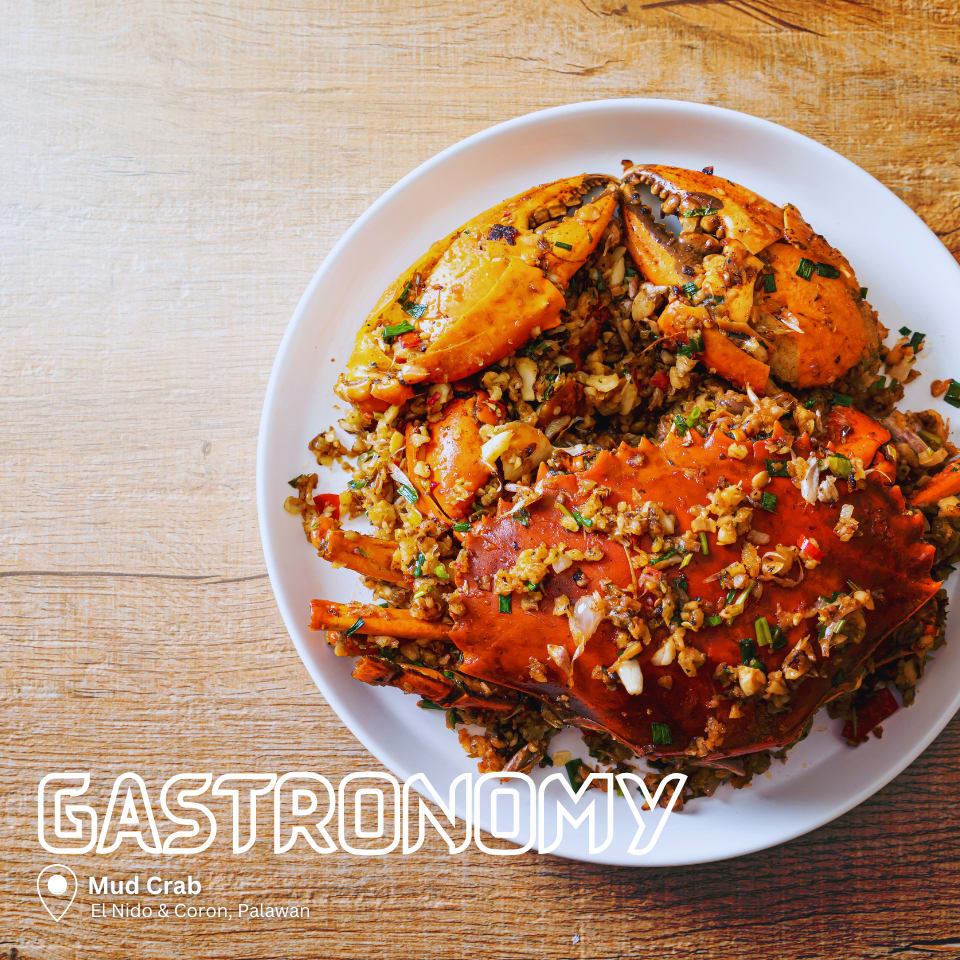 your guide to food tours in palawan philippines