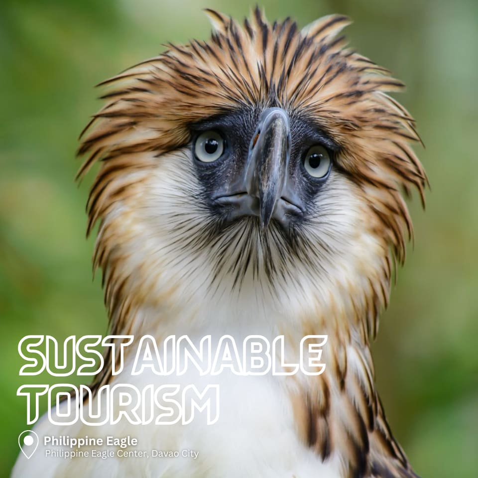 Your guide to experience to sustainable tourism in davao philippines