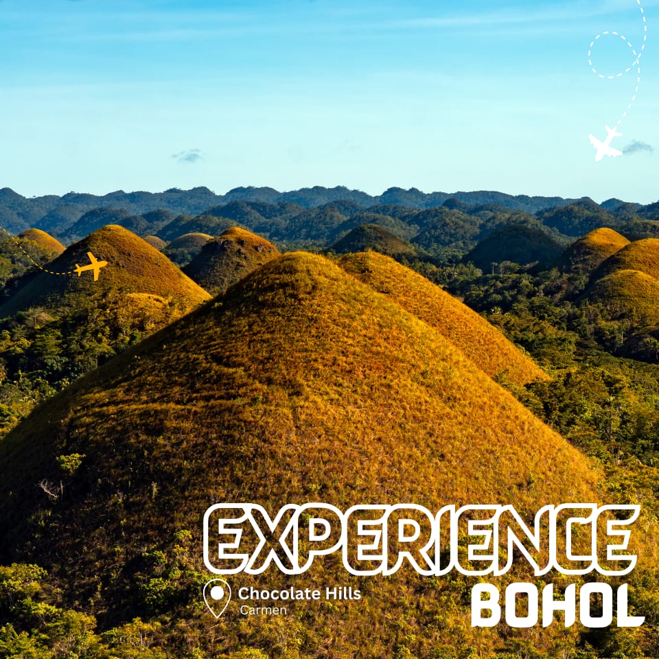 experience chocolate hills tours in bohol philippines