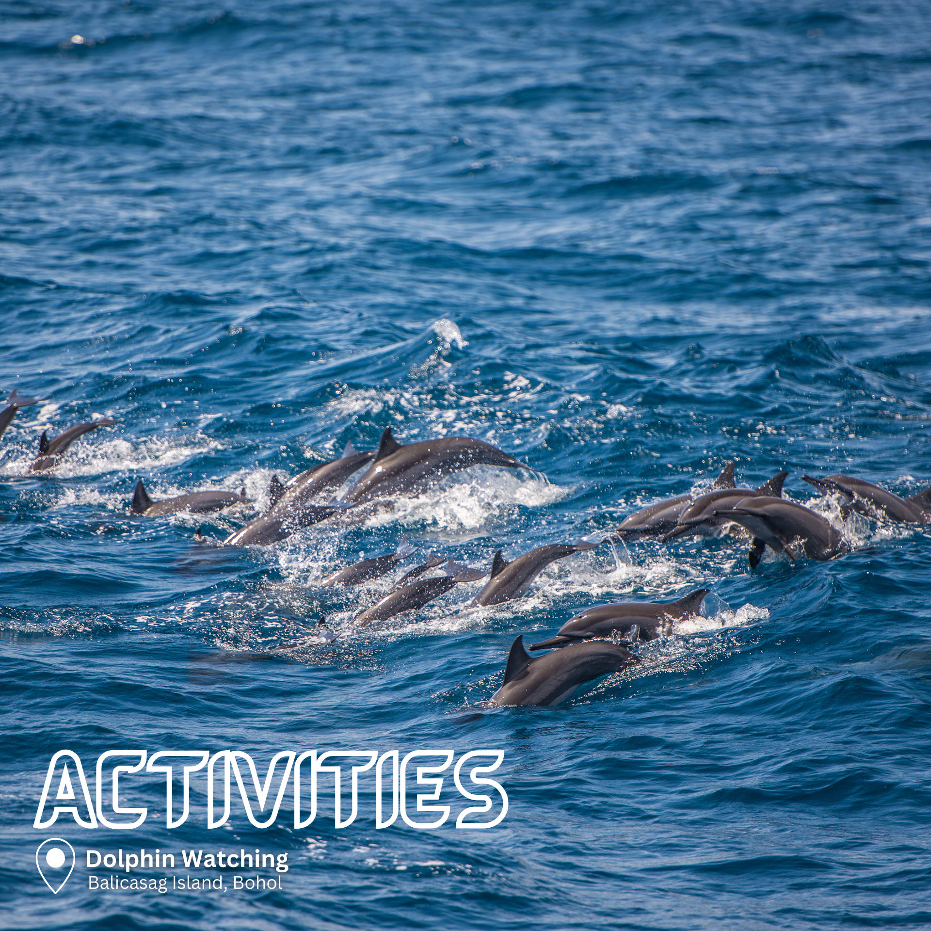 Bohol's Chocolate Hills