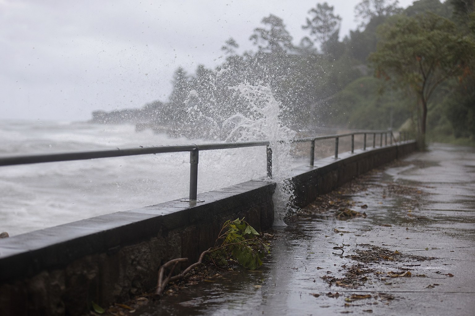 Wakehurst Parkway reopens after heavy rain floods Northern Beaches roads