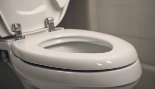 Dream symbol: toilet seat: intro