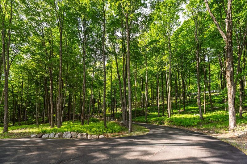 15 Rue Chagnon, Saint-Joachim-de-Shefford, QC