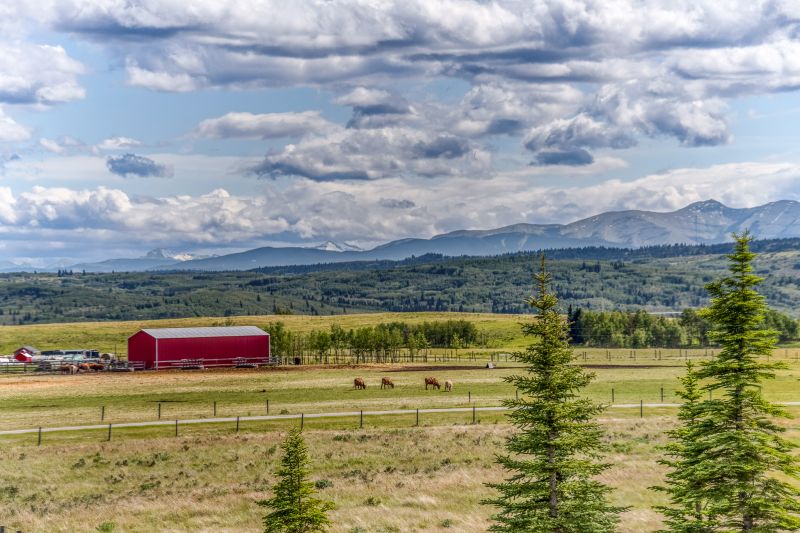 264390 Forestry Trunk Road, Radnor, AB