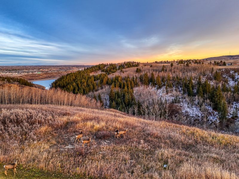27 Corral View, Calgary, AB