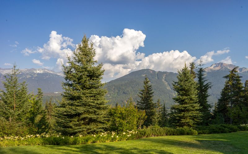 5425 Stonebridge Drive, Whistler, BC, Canada, Whistler, BC