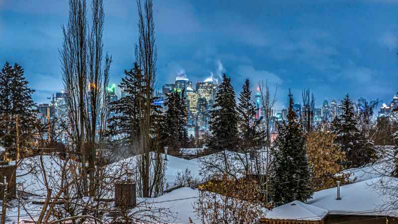 1736 24 Street SW, Calgary, AB