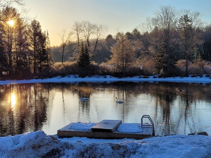 1507 Matthiasville Road, Bracebridge