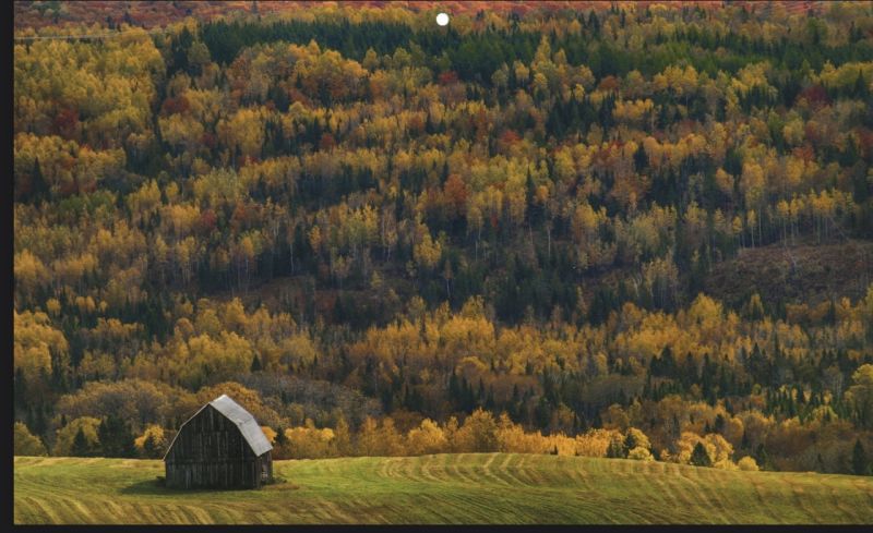 599 Chemin Notre Dame de Lourdes, Notre-Dame-de-Lourdes, NB