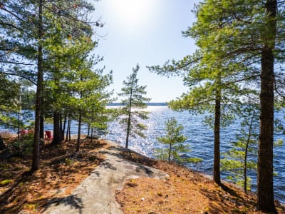 Luxury estate at 1226 Rosseau Lake Road 3, Muskoka District Municipality, ON — photo 13