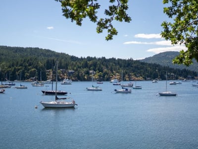 Luxury estate at 7090 Brentwood Drive, Brentwood Bay, BC — photo 44