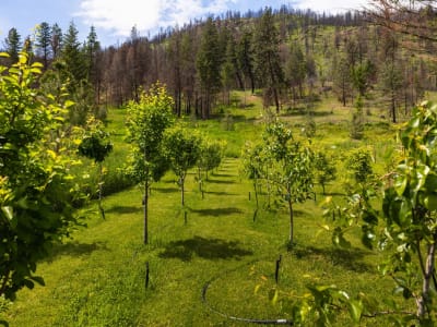 Luxury estate at 1750 Westside Road, Kelowna, BC — photo 25
