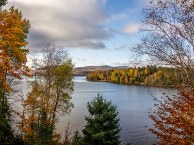 Luxury estate at 183 Chemin St Guillaume #180, Saint-Donat-de-Montcalm, QC — photo 50