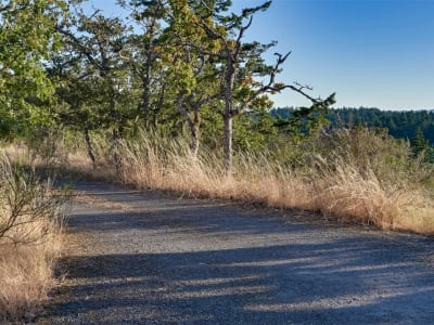 Luxury estate at 4589 Blenkinsop Road, Victoria, BC — photo 6