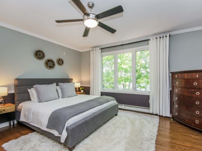 Luxury estate at 91 Sarah Ingraham Drive, Williamswood — photo 7