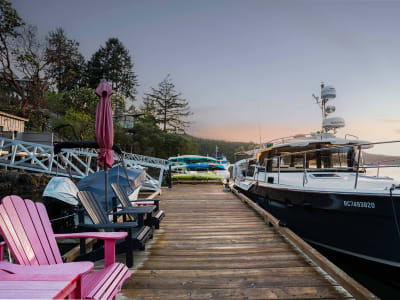 Luxury estate at Brentwood Bay, BC — photo 9