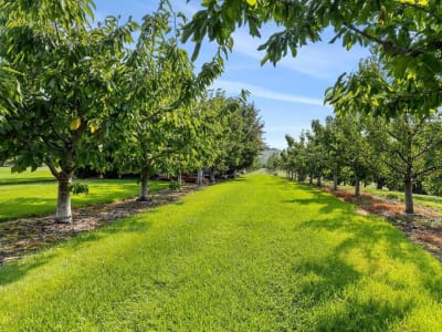Luxury estate at 1429 Teasdale Road, Kelowna, BC — photo 22