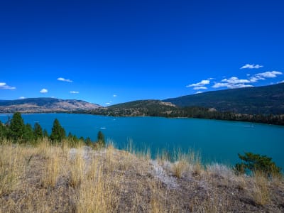 Luxury estate at 245 Kalamalka Lakeview Drive, Vernon, BC — photo 4