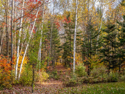 Luxury estate at 183 Chemin St Guillaume #180, Saint-Donat-de-Montcalm, QC — photo 68