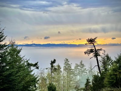 Luxury estate at 7470 Thornton Heights, Sooke, BC — photo 13