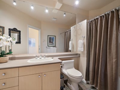 Luxury estate at 1019 Terrace Avenue, Victoria, BC — photo 25