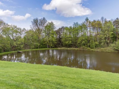 Luxury estate at 16167 Mclaughlin Road, Caledon — photo 12