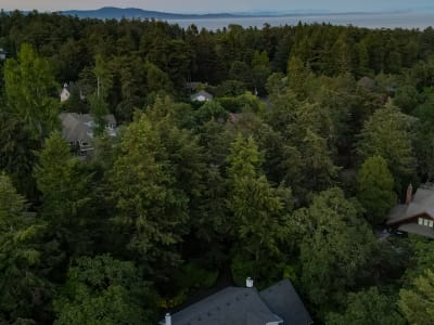 Luxury estate at 2861 Tudor Avenue, Victoria, BC — photo 6