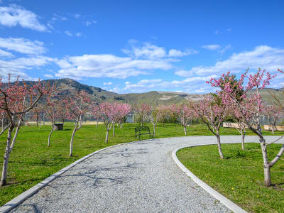 Luxury estate at 8000 Bench Row Road, Vernon, BC — photo 20
