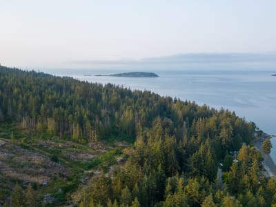 Luxury estate at Halfmoon Bay, BC, BC — photo 22