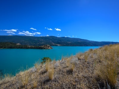 Luxury estate at 245 Kalamalka Lakeview Drive, Vernon, BC — photo 5