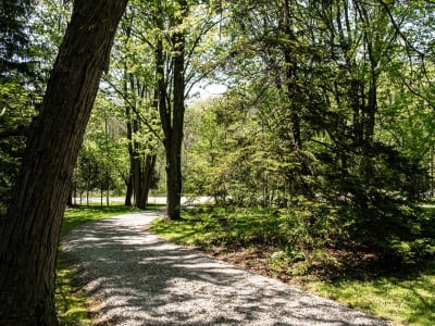 Luxury estate at 176 Weirs Lane, Hamilton, ON — photo 48