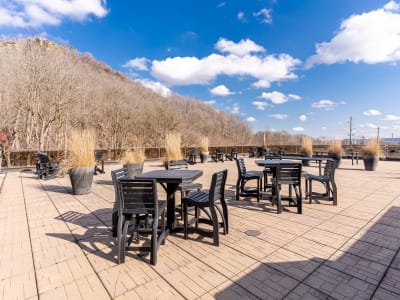 Luxury estate at 397 King Street West unit 215, Dundas, ON — photo 43