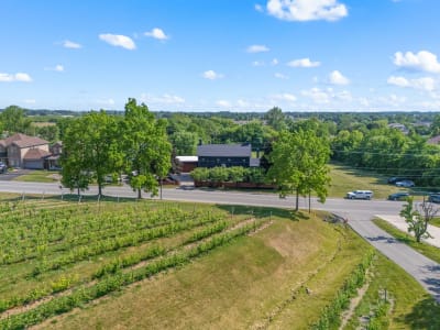 Luxury estate at 3543 King Street, Lincoln, ON — photo 2
