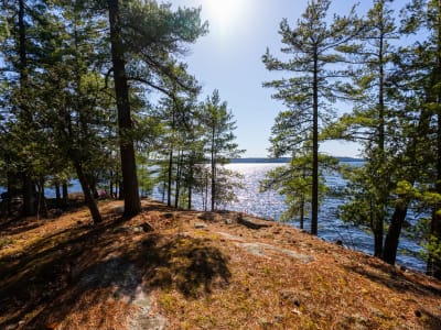 Luxury estate at 1226 Rosseau Lake Road 3, Muskoka District Municipality, ON — photo 15
