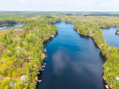 Luxury estate at 1117 Turtle Lake Road, Gravenhurst, ON — photo 2