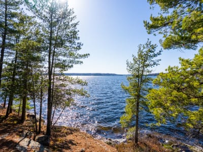 Luxury estate at 1226 Rosseau Lake Road 3, Muskoka District Municipality, ON — photo 14