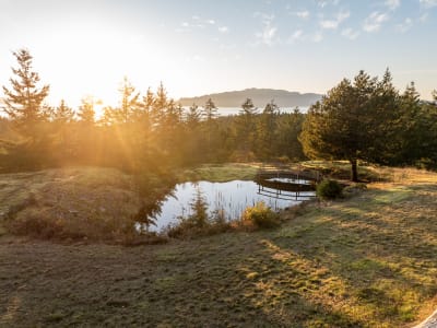 Luxury estate at 10339 Sunshine Coast Highway, Halfmoon Bay, BC — photo 8