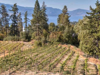 Luxury estate at 4920 Chute Lake Road, Kelowna, BC — photo 5